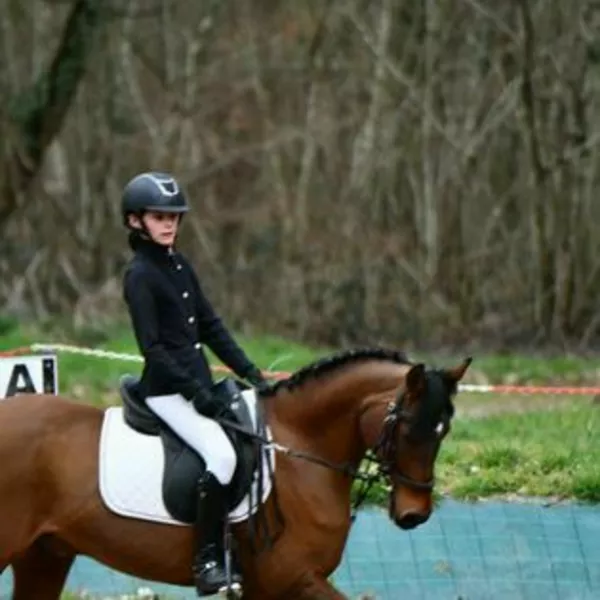 Dressage